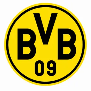 BVB International Academy Arizona 300x300