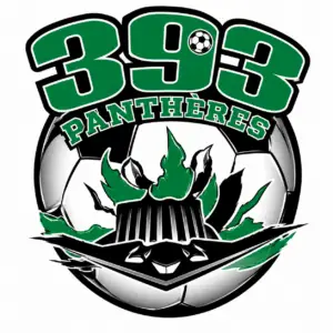 Palmdale Ninjas 300x300