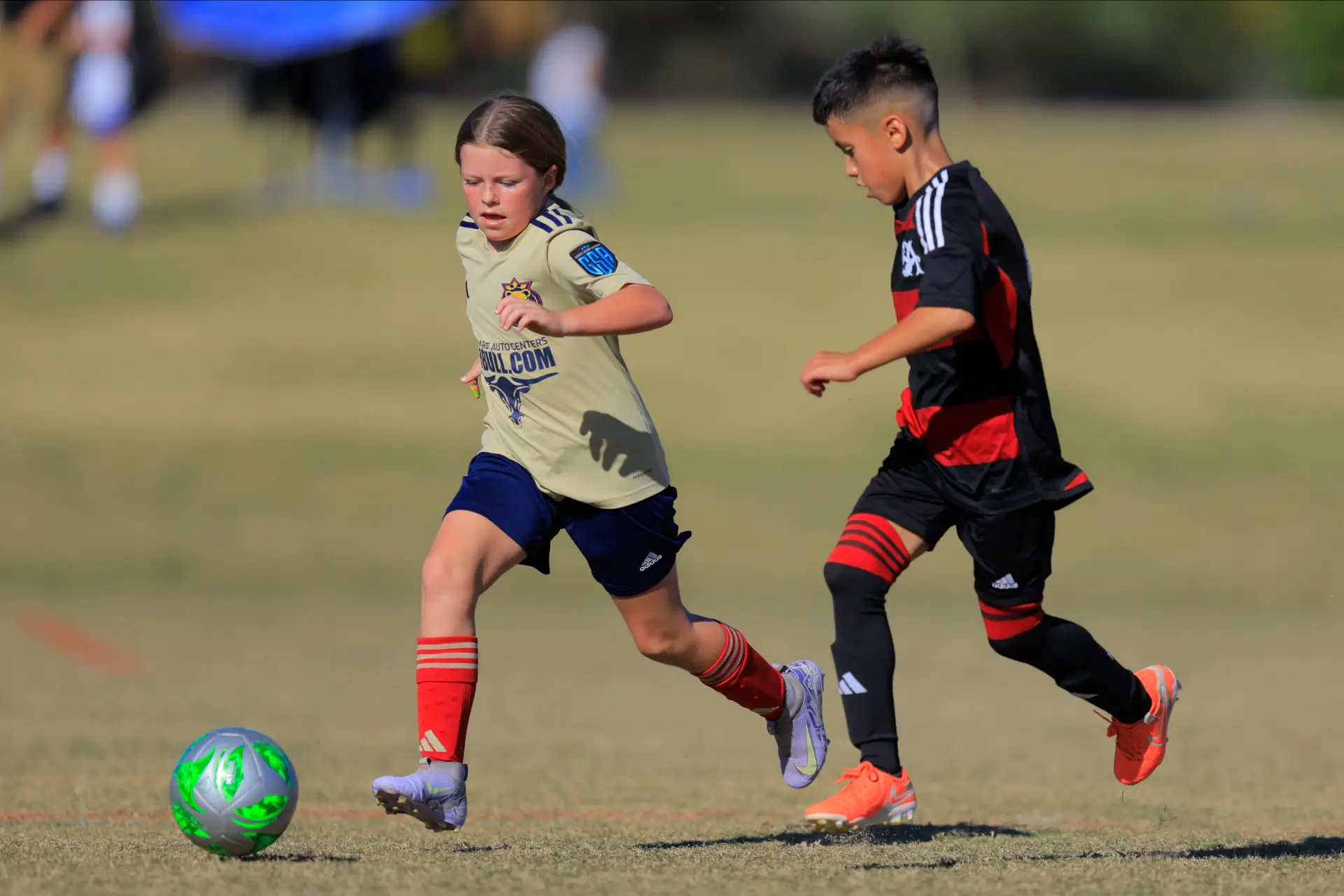 Phoenix Cup Fields